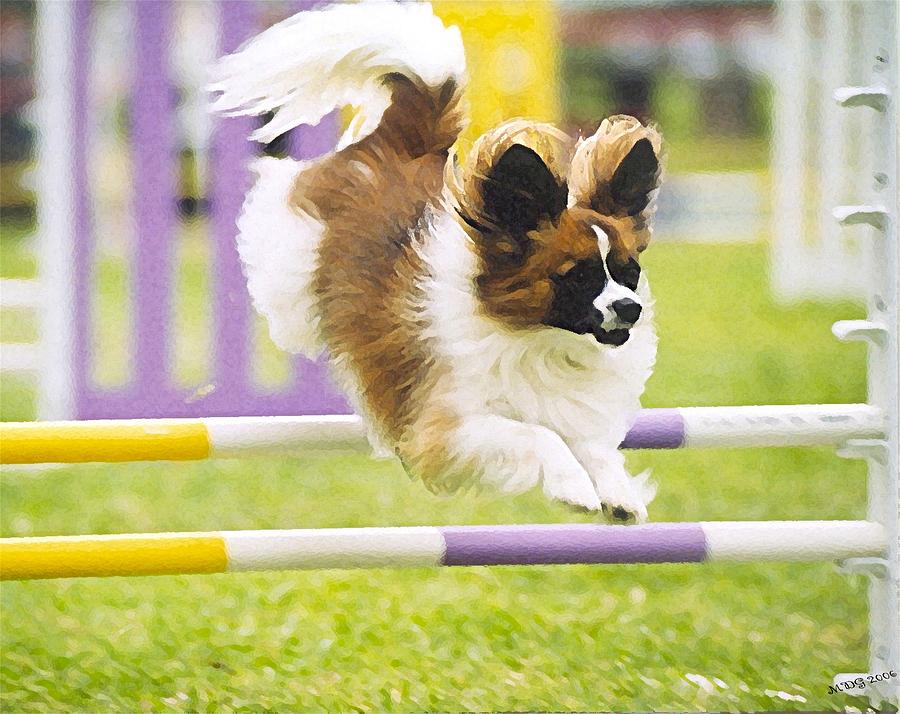 Papillon Agility Dog Painting by Olde Time  Mercantile