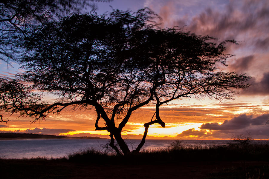 Papohaku Sunset Photograph by Marzena Grabczynska Lorenc