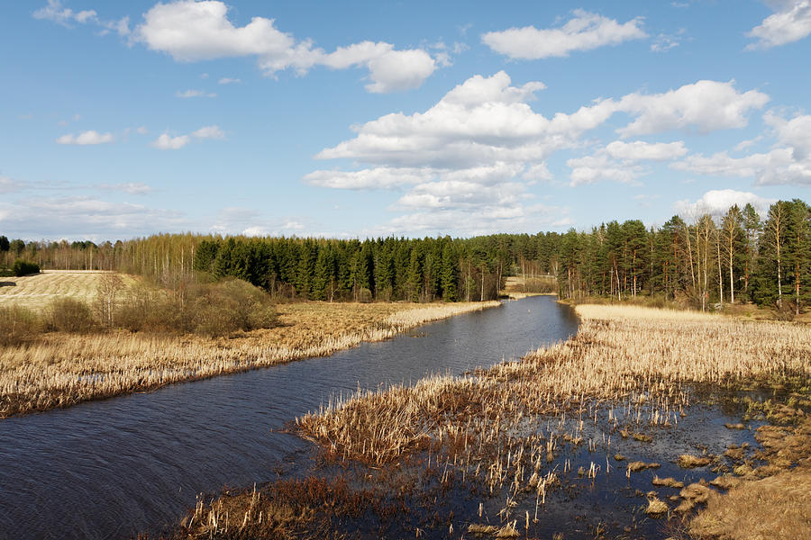 Pappilanjoki River on a sunny spring day Photograph by Sami Hurmerinta