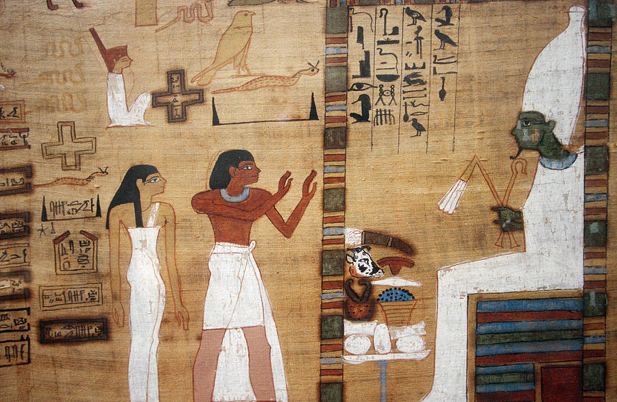 Papyrus Art Photograph by F. Stuart Westmorland