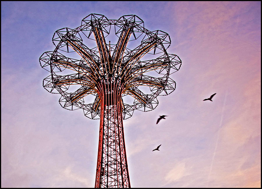 Parachute Ride with Birds Photograph by Allan Einhorn