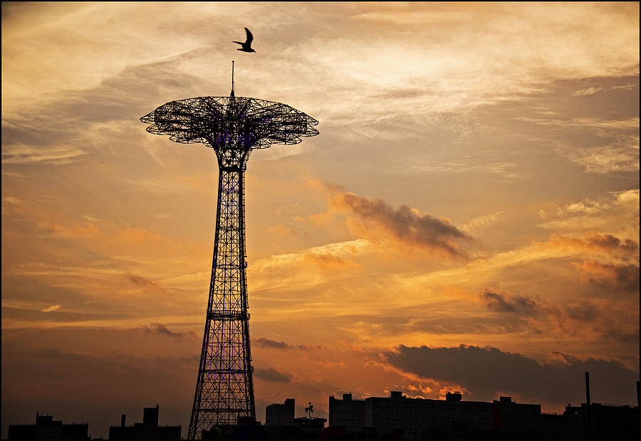 Parachute with Bird Photograph by Allan Einhorn | Pixels