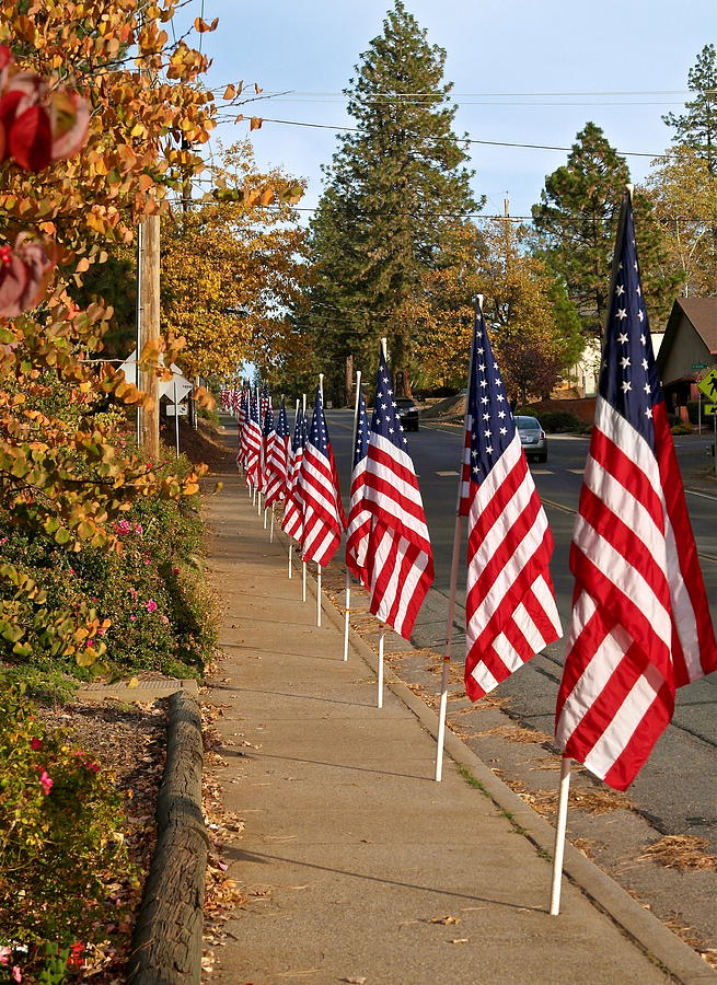 Parade of Flags Photograph by Michele Myers