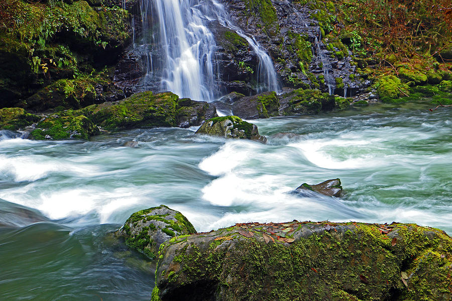 Nature Photograph - Paradise at Boulder Falls by Brad Walters