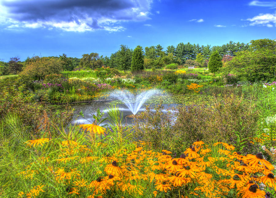 Paradise at the Butterfly Garden Photograph by Carolyn Hall
