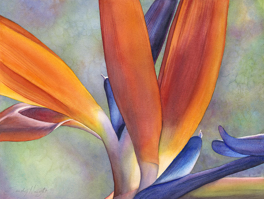 Flowers Still Life Painting - Paradise Bird by Sandy Haight