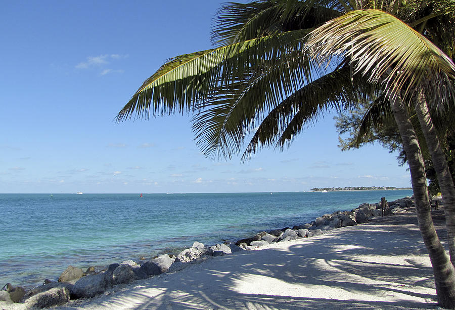 Paradise - Key West Florida Photograph by Bob Slitzan