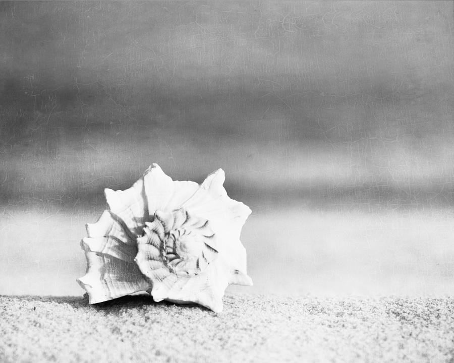 Black And White Photograph - Paradise by Carolyn Cochrane