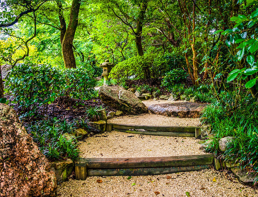 Paradise Garden Stairs Photograph by Larry Olsson