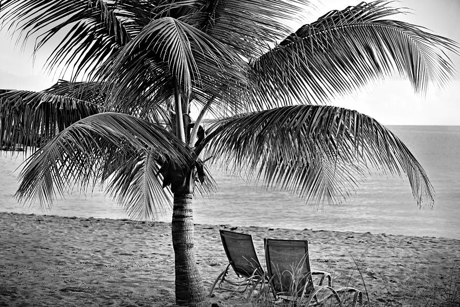 Paradise in black and white Photograph by Camille Lopez