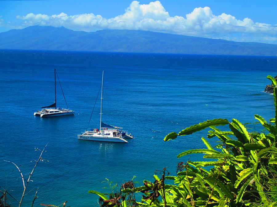 Paradise In Maui Photograph