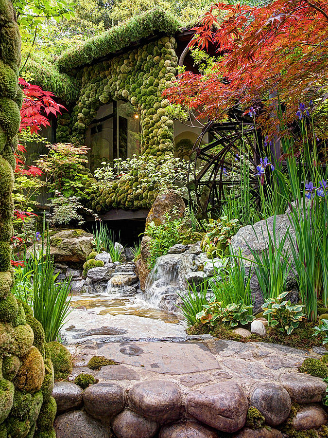  Paradise  On Earth Japanese Garden  2 Photograph by Gill 