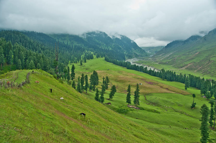 Paradise On Earth... Kongwatan  Kashmir Photograph by Pkg Photography
