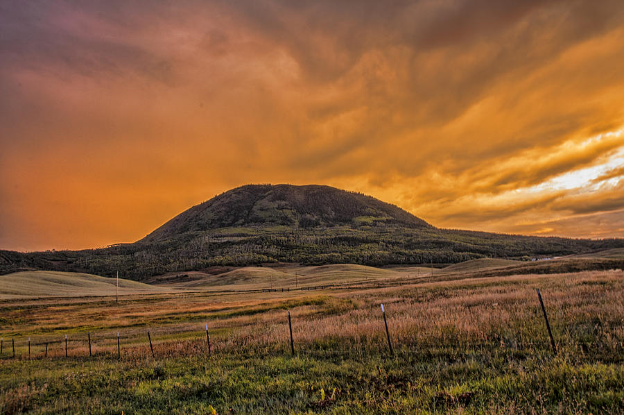 Paradise on Elk Mountain Meadows Photograph by Daniel Hebard