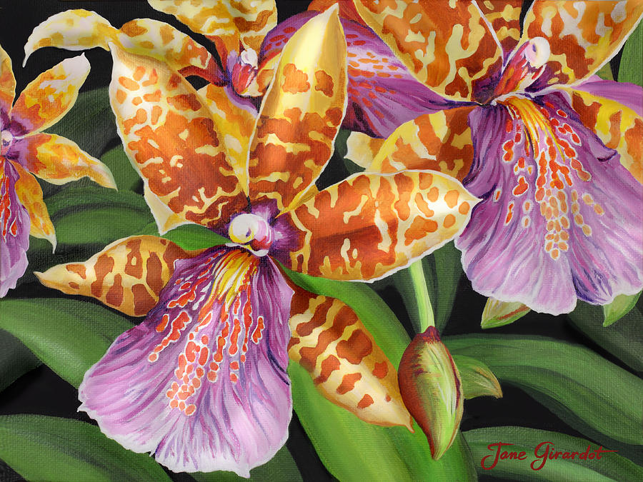 Paradise Orchid Painting by Jane Girardot