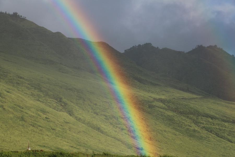 Paradise Rainbow Photograph by Luis Galindo - Pixels