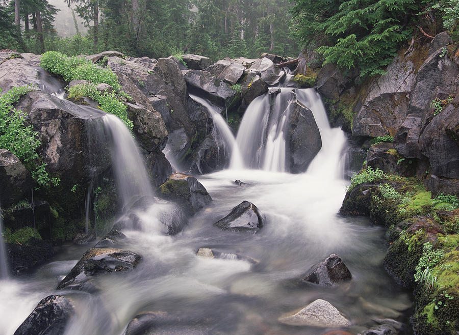 Paradise River Cascade Mt Rainier Photograph by Tim Fitzharris
