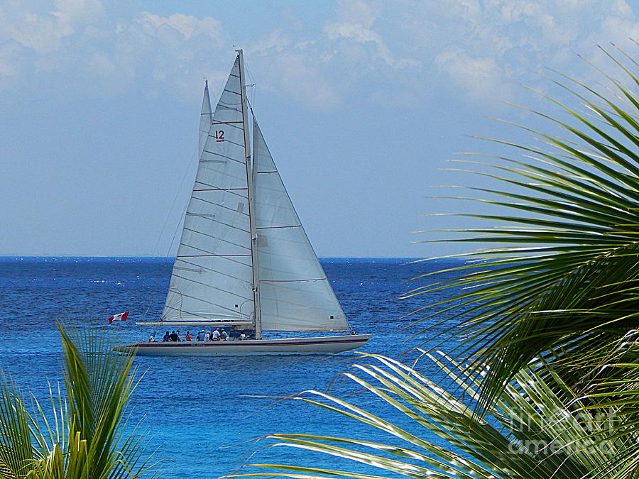 Paradise Sails On The Ocean In Puerta Maya Cozumel Mexico Photograph by Michael Hoard