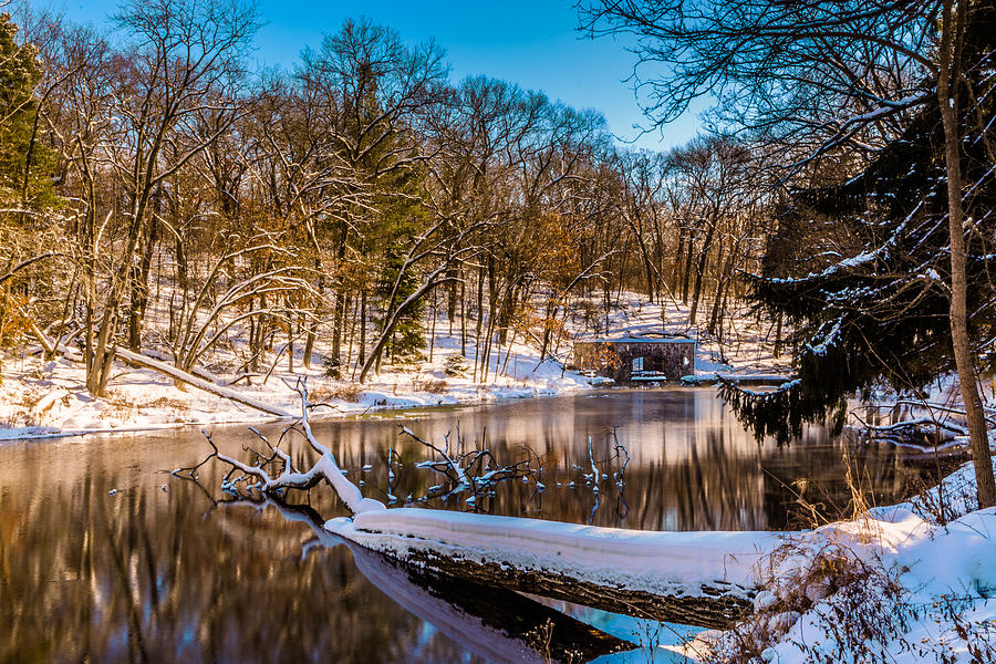 Paradise Springs in Winter Photograph by Randy Scherkenbach | Fine Art ...