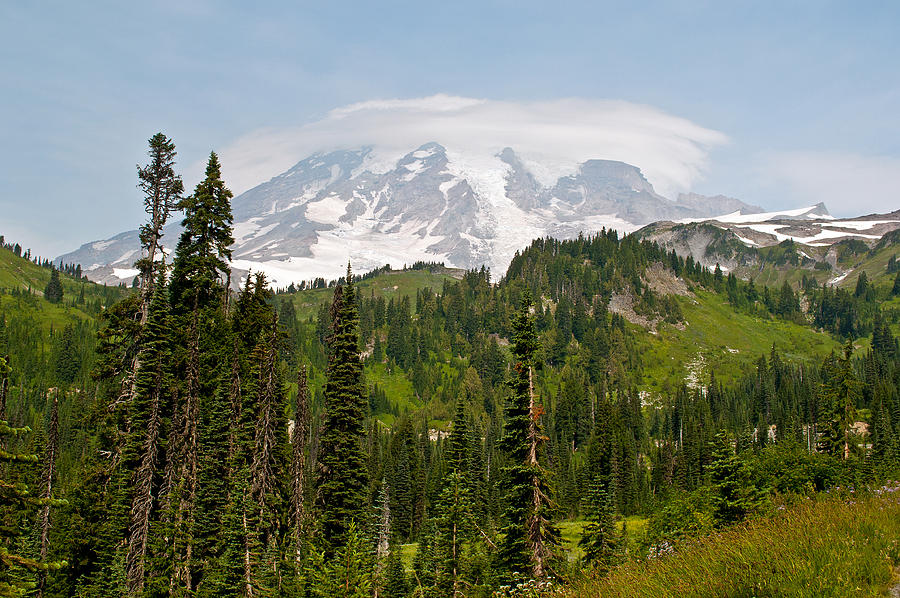Paradise Valley and Mt. Rainier View Photograph by Tikvahs Hope