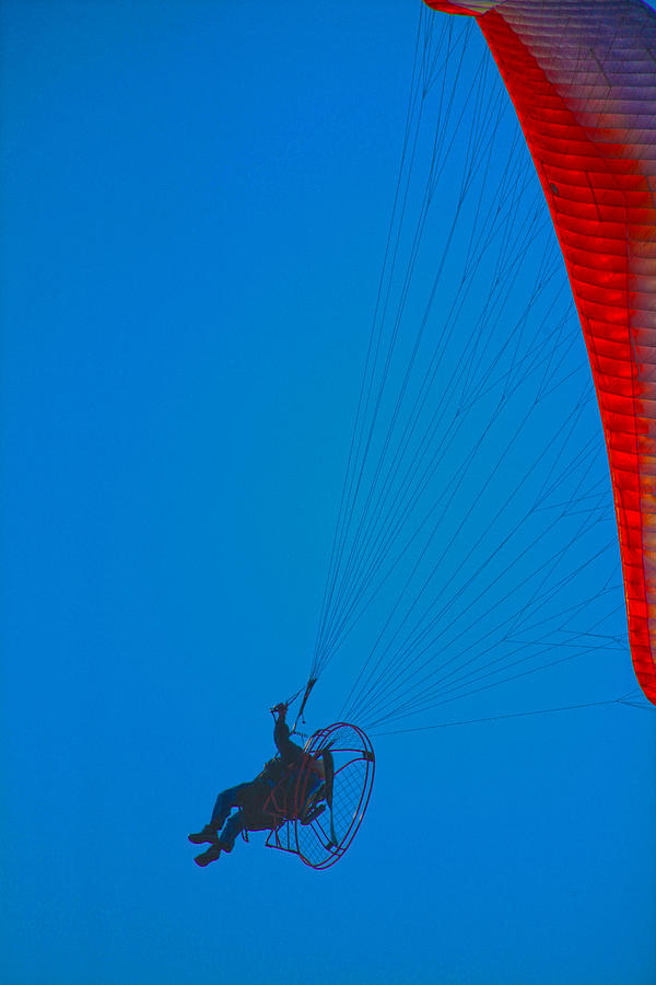 Paragliding Photograph by Karol Livote