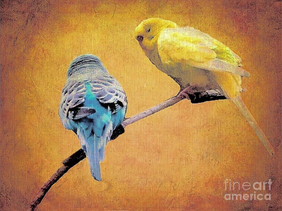 Bird Photograph - Parakeets in Autumn by Janette Boyd