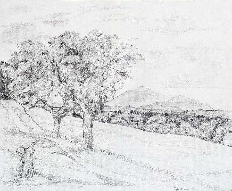 Parallel Road Fence Trees Mountains Drawing by Jean Moule | Fine Art ...