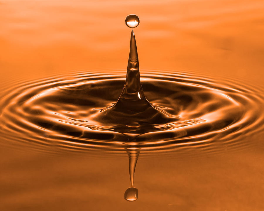 Parallel Orange Drop Photograph by Brian Caldwell
