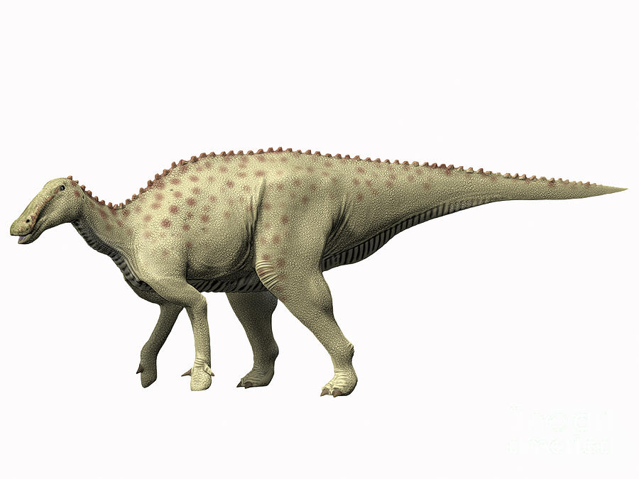 Side View Digital Art - Pararhabdodon Isonensis, Late by Nobumichi Tamura Side View Digital Art - Pararhabdodon Isonensis, Late by Nobumichi Tamura