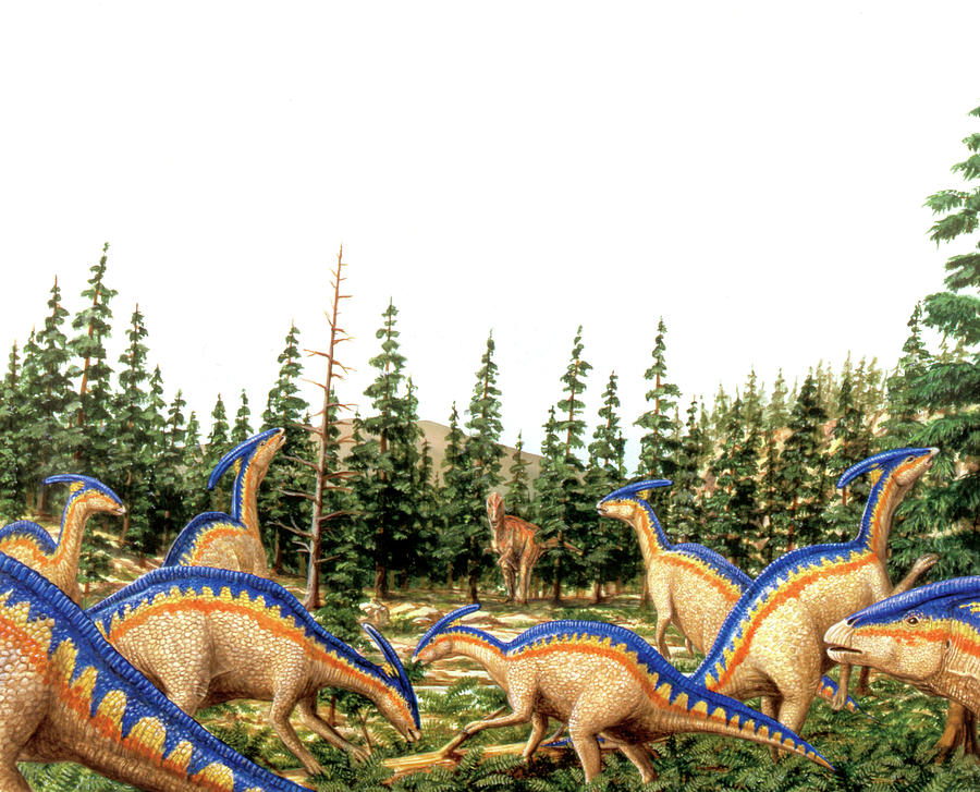 dinosaurs that look like parasaurolophus