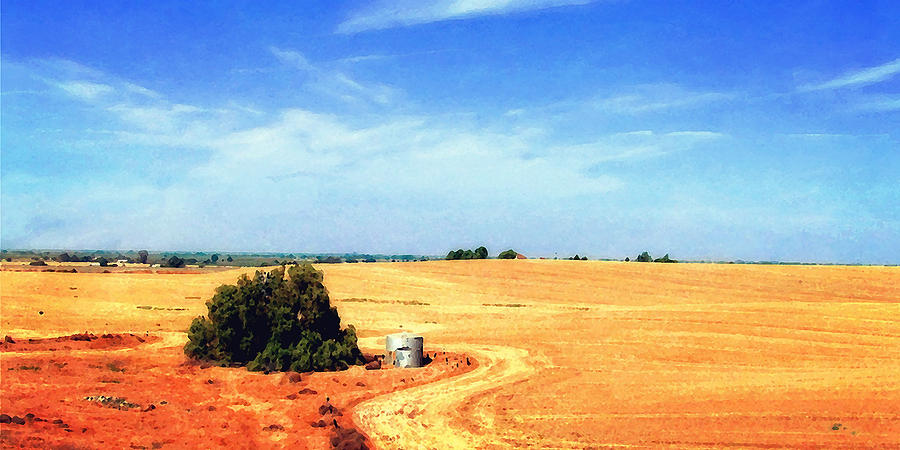 Parched Land Photograph by Timothy Bulone
