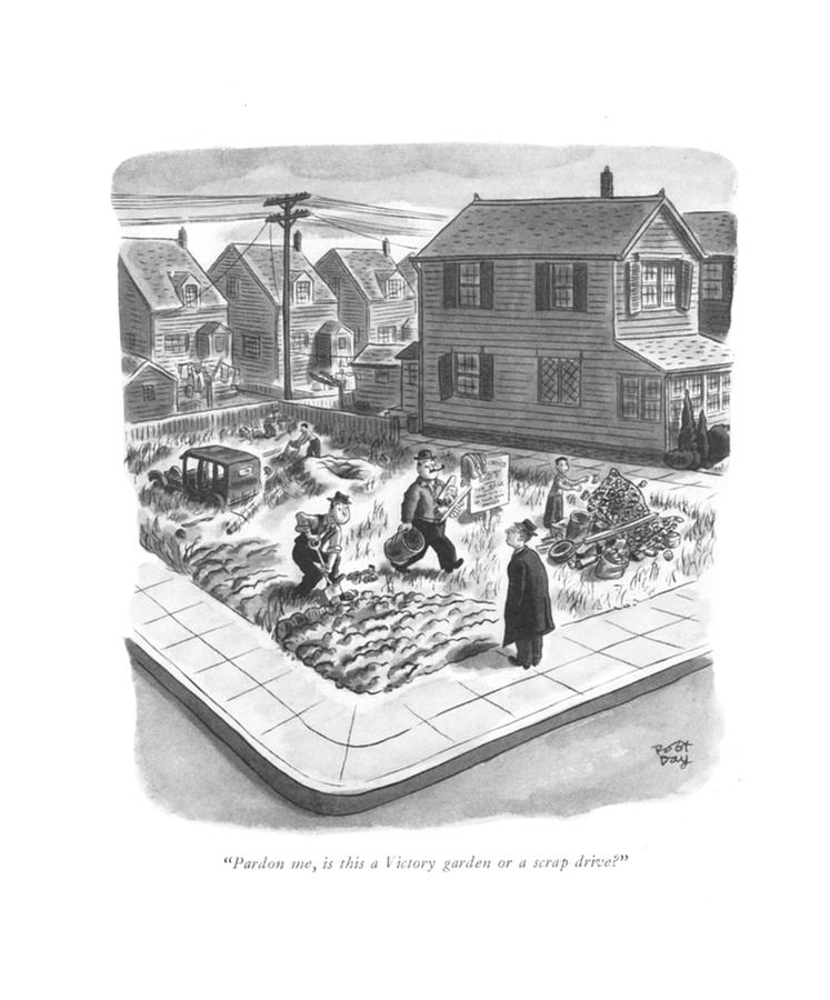 Pardon Me, Is This A Victory Garden Or A Scrap Drawing by Robert J. Day