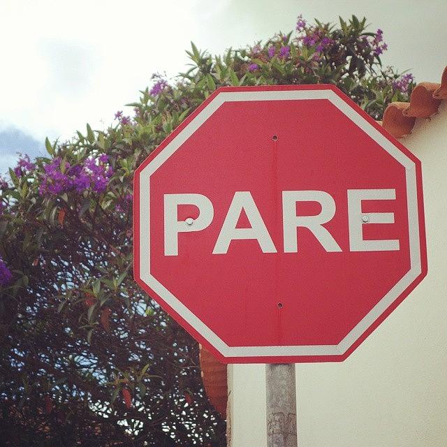 Flower Photograph - Pare! Stop! Back To Brazil by Laura Doty