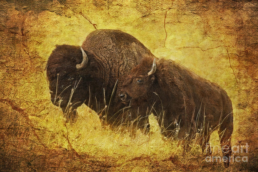 Bison Digital Art - Parent and Child - American Bison by Lianne Schneider