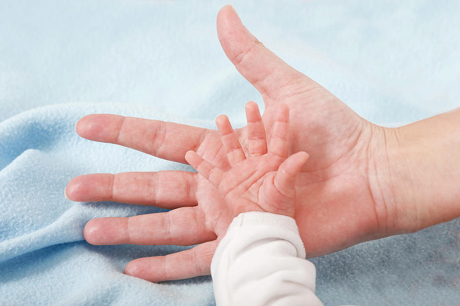 Parent Holding Newborn Babys Hand Photograph by Lea Paterson/science Photo Library