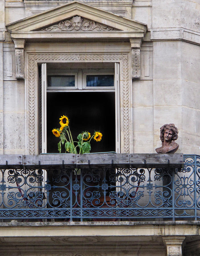 Paris Balcony Photograph by Dave Mills