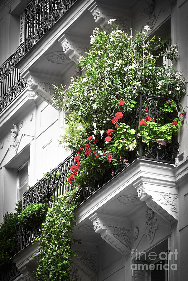 Flower Photograph - Paris balcony by Elena Elisseeva