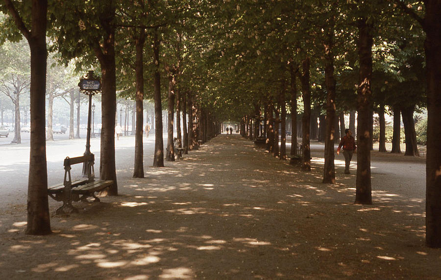 Paris boulevard Photograph by Mark Alan Perry