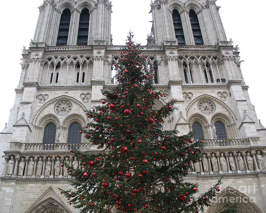 Paris Christmas Photography - Notre Dame Cathedral Christmas Tree - Paris at Christmas Photograph by Kathy Fornal