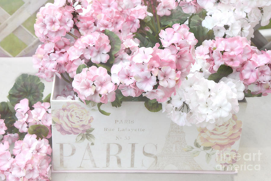 Paris Photograph - Shabby Chic Paris Pink Flowers, Parisian Shabby Chic Paris Flower Box - Paris Floral Decor by Kathy Fornal