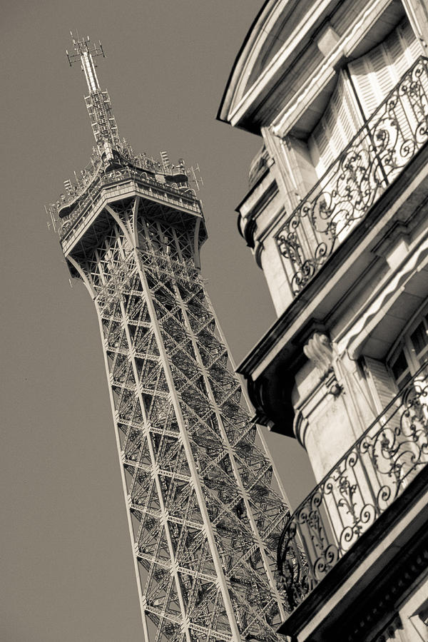 Paris Eiffel Photograph by Matthew Pace