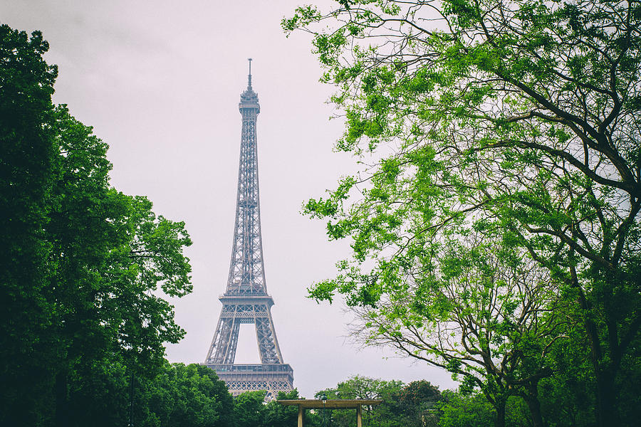 Paris Eiffel Surrounded by Trees Photograph by Georgia Clare
