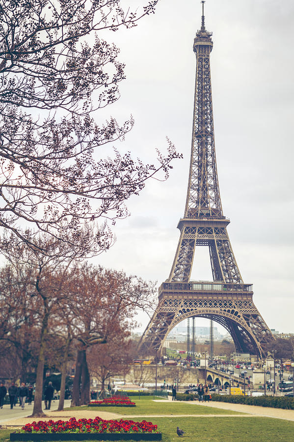 Paris Eiffel Tower Photograph by Deimagine