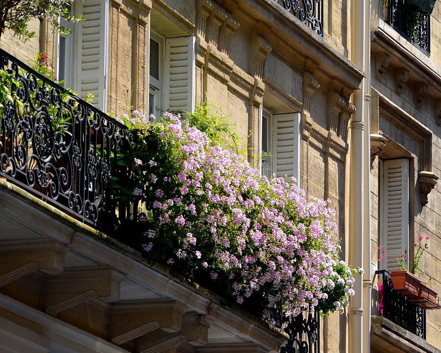 Paris Flowers on the Balcony Photograph by Toby McGuire