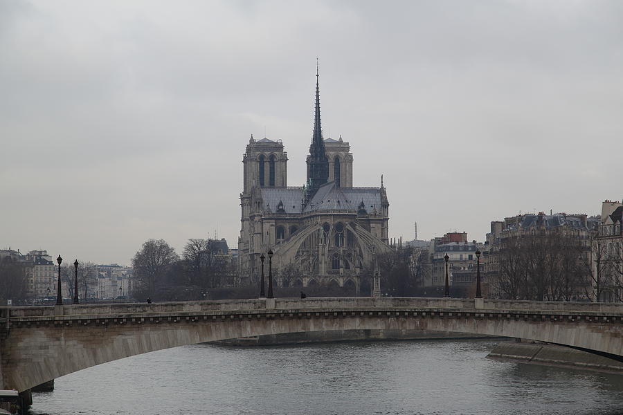 Architecture Photograph - Paris France - Notre Dame de Paris - 011313 by DC Photographer