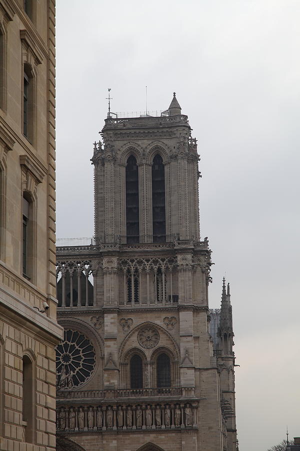 Architecture Photograph - Paris France - Notre Dame de Paris - 01132 by DC Photographer