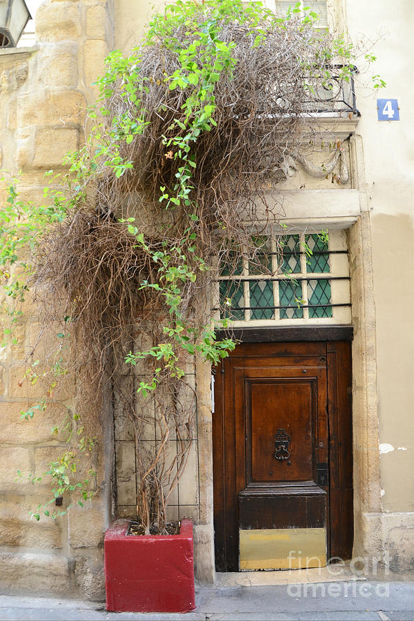 Paris Gardens Door Photography - Paris Door No. 4 - Paris Street Photography Photograph by Kathy Fornal
