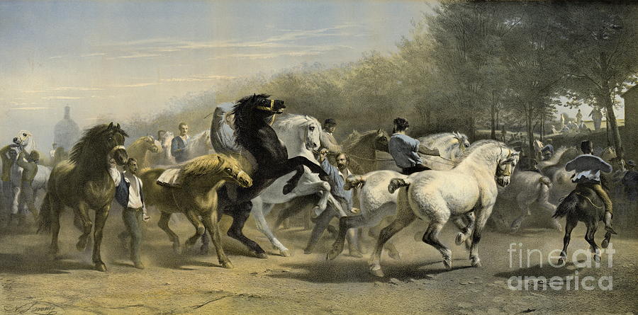 Paris Horse Market 1855 Photograph by Padre Art