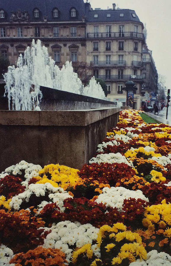 Paris in Autumn  Photograph by Patricia Januszkiewicz