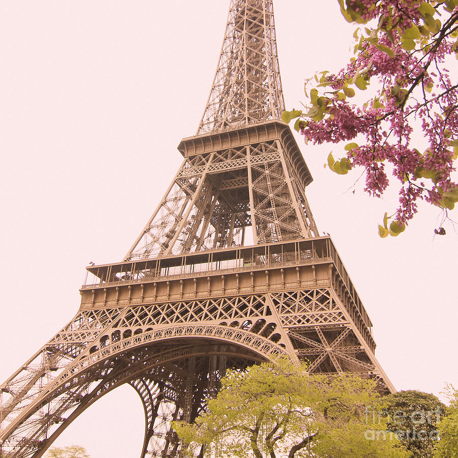 Paris in the Springtime Photograph by Hermes Fine Art